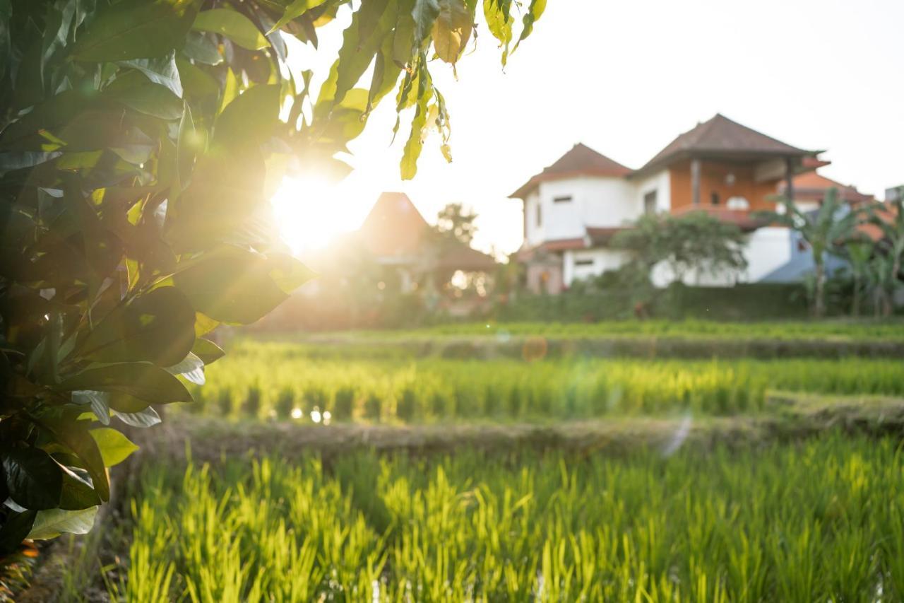 Nick'S Pension Ubud Esterno foto