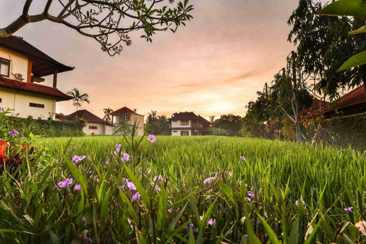 Nick'S Pension Ubud Esterno foto